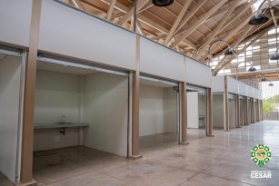 05.jpg