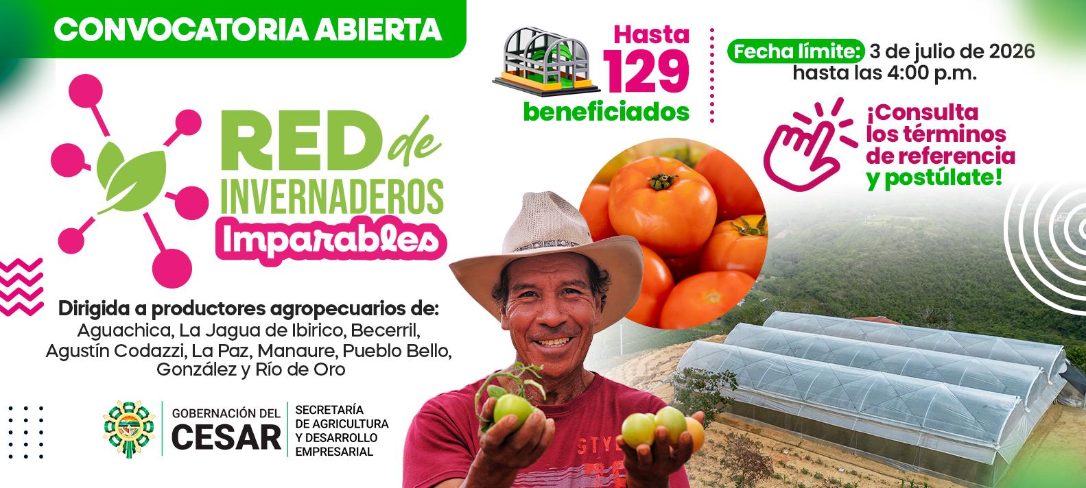 bnn invernaderos 2026